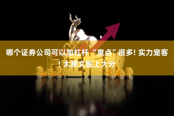 哪个证券公司可以加杠杆 “爽点”很多! 实力宠客! 太原文旅上大分